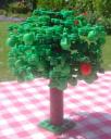 fruit_tree_apple.jpg