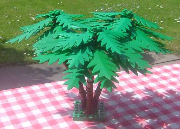 palm_tree_group.jpg