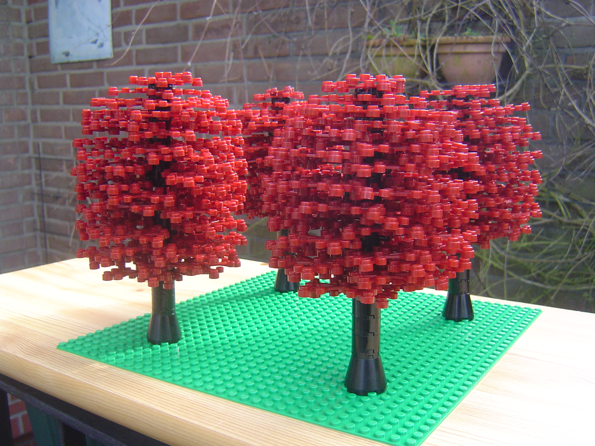 park_tree_01.jpg