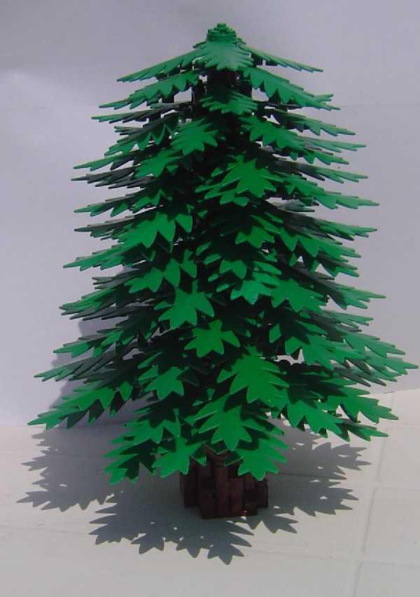 pine_tree_02.jpg