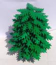 pine_tree_001.jpg
