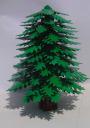 pine_tree_02.jpg