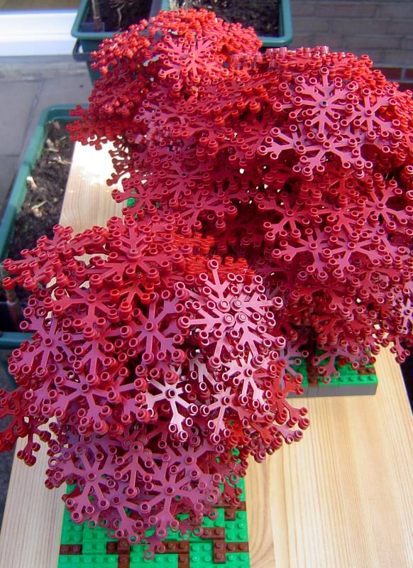 dark_red_tree_003.jpg