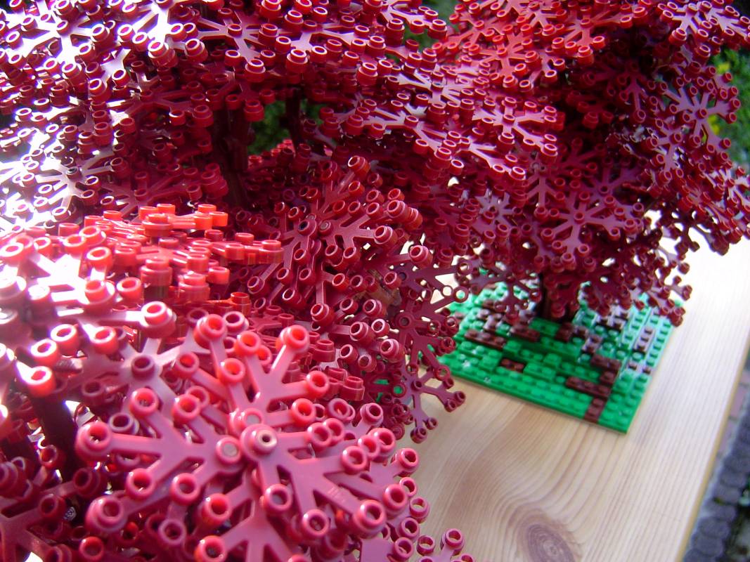 dark_red_tree_004.jpg