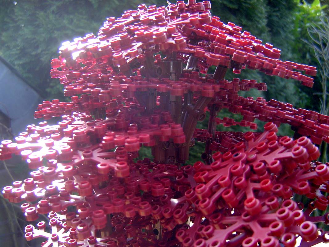 red_technical_tree_1_04.jpg