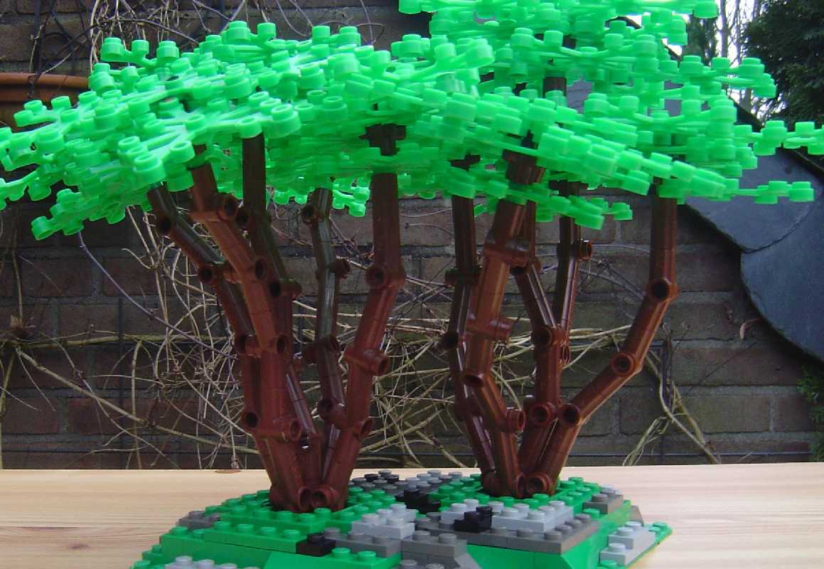 technical_tree_05.jpg