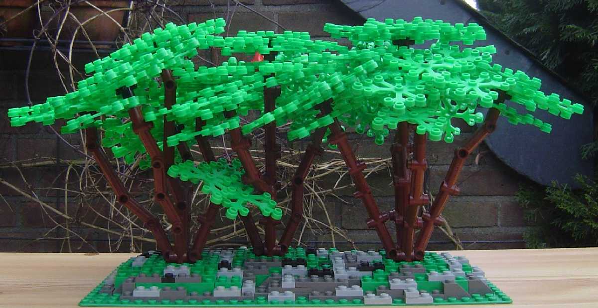 technical_tree_09.jpg