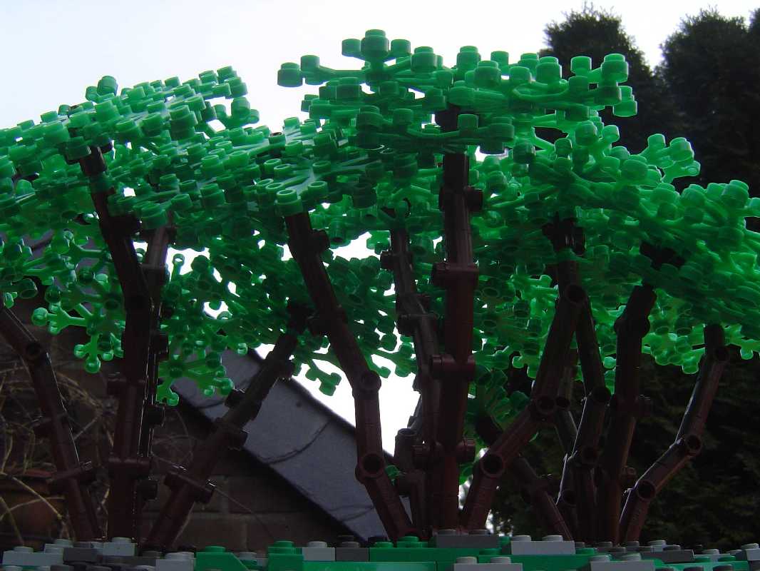 technical_tree_10.jpg