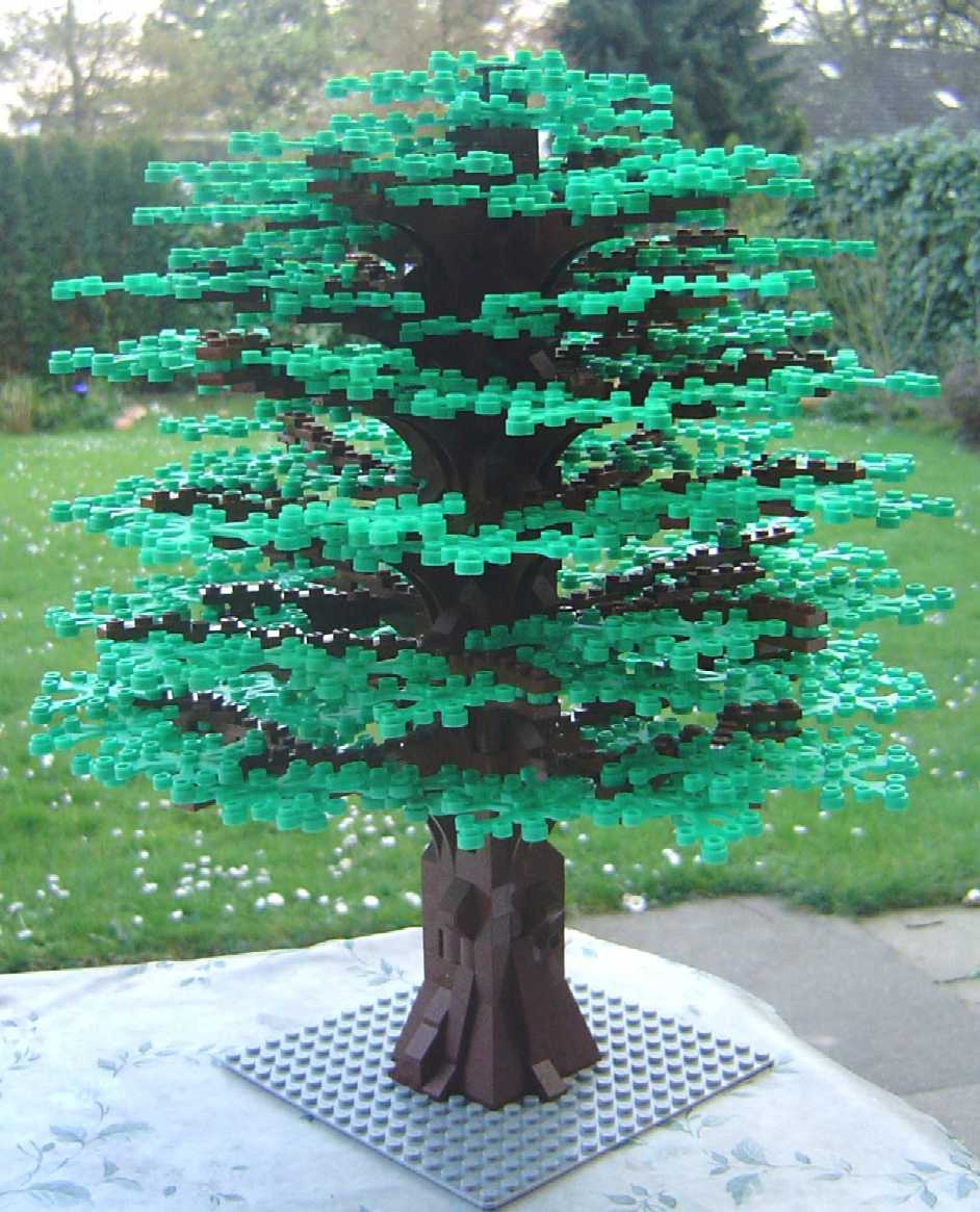 baum_01_01.jpg