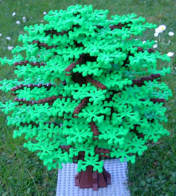 baum_01_02.jpg