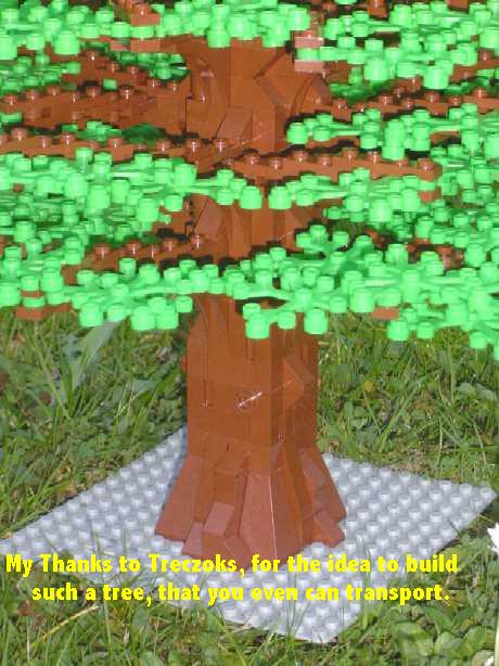 baum_01_03.jpg