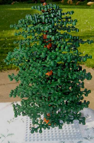 baum_02_01.jpg