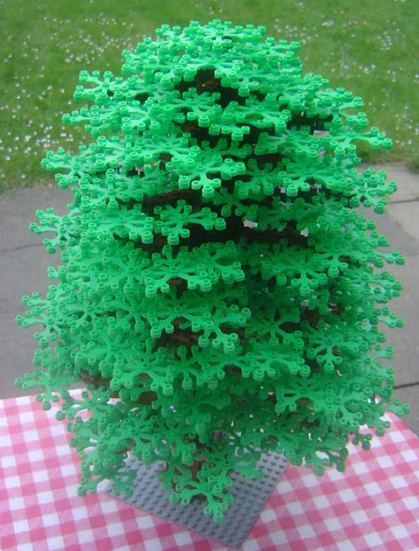 baum_03_02.jpg