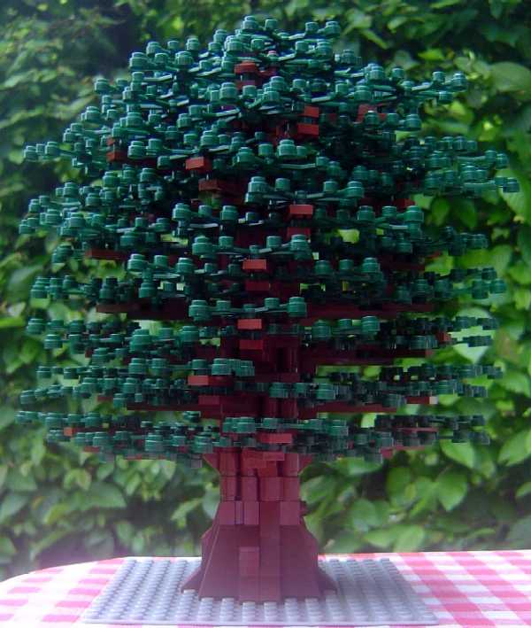 baum_04_02.jpg