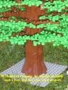 baum_01_03.jpg