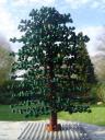baum_02_02.jpg