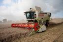 lexion000.jpg