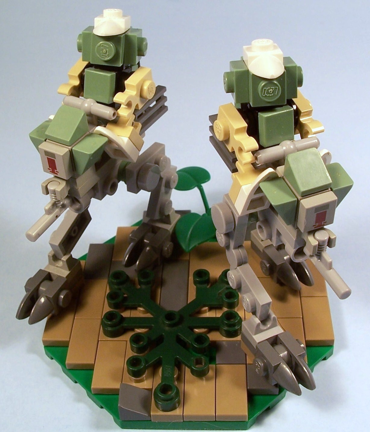 a1.jpg