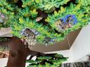 img_1038.jpeg