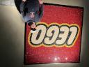 img_1101.jpeg