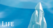 life.jpg