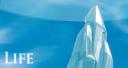 life.jpg