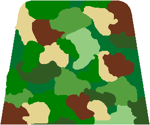 camo-_back.bmp