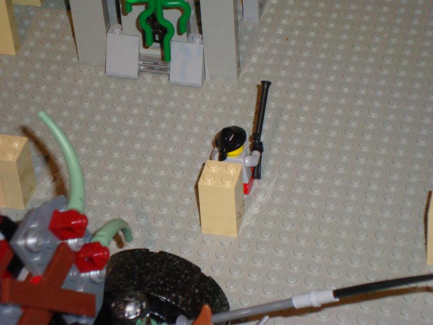dsc00202.jpg