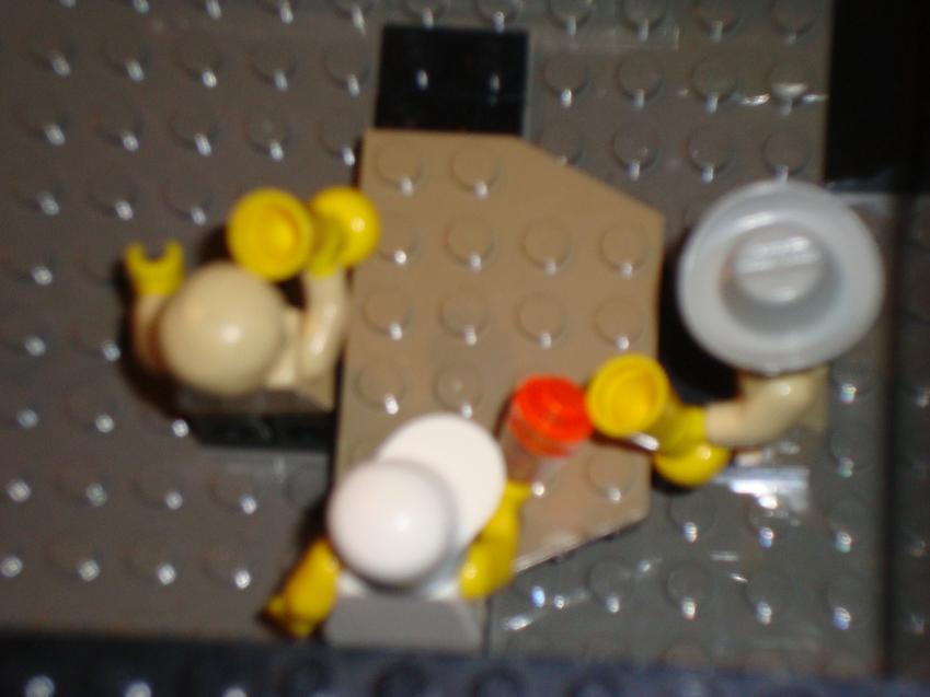 dsc00204.jpg