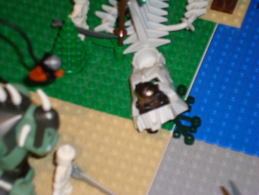 dsc00226.jpg