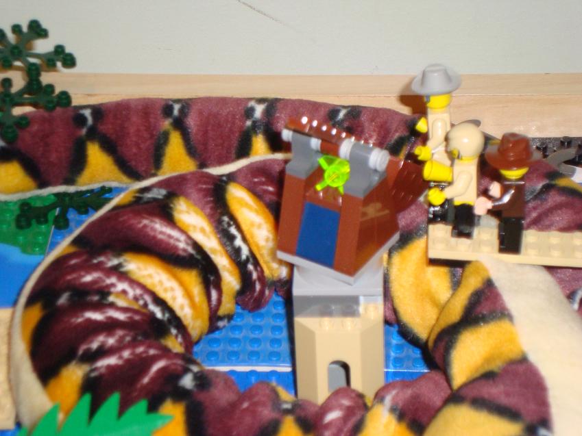 dsc00342.jpg