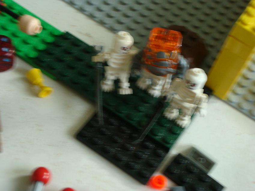 dsc00409.jpg