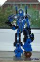 bluebot03.jpg