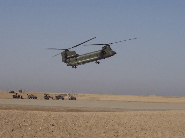 113.jpg