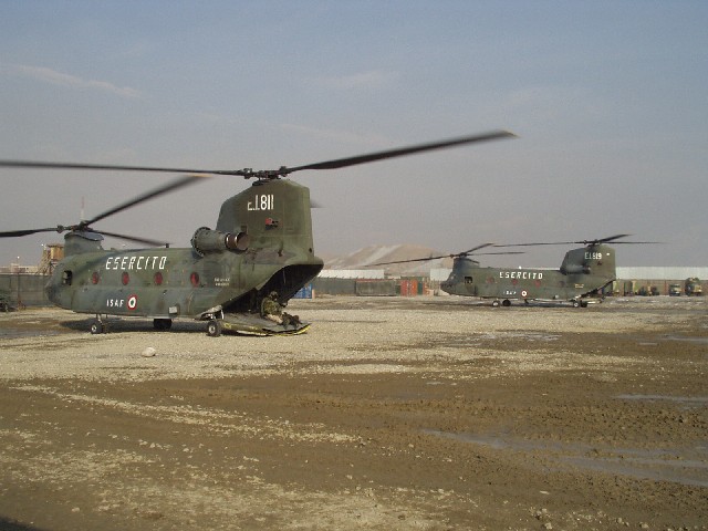 116.jpg