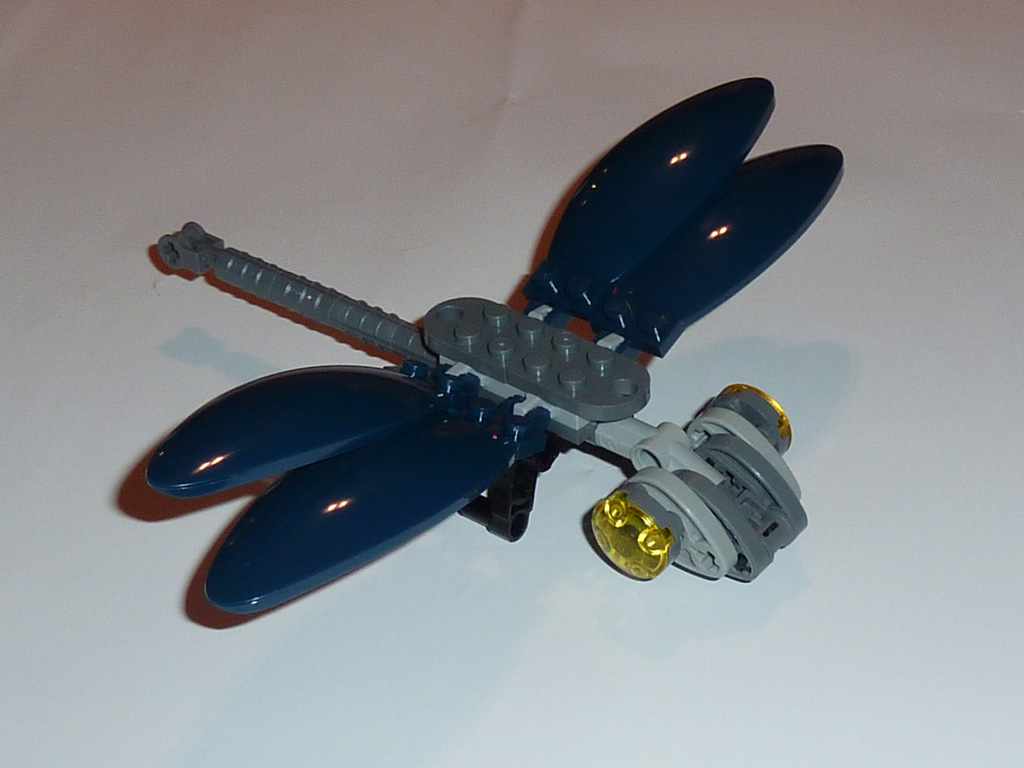 dragonfly_01.jpg