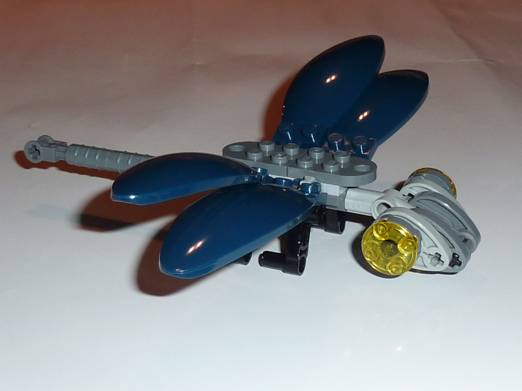 dragonfly_02.jpg