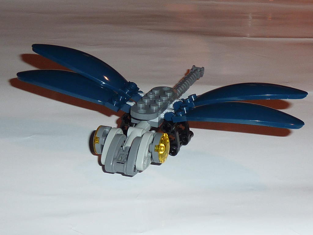 dragonfly_06.jpg