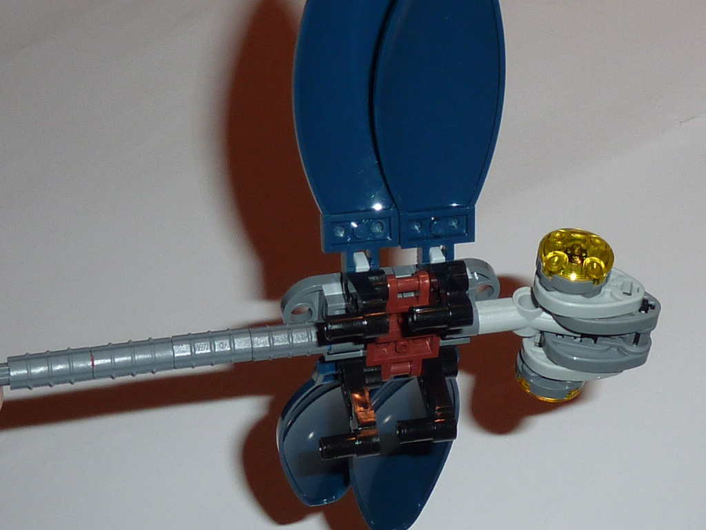 dragonfly_07.jpg