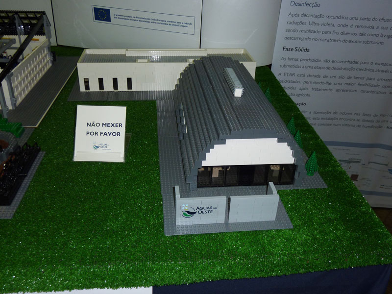 brincka2010_047.jpg