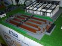 brincka2010_045.jpg