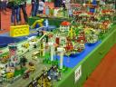 brincka2010_077.jpg