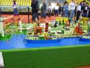 brincka2010_079.jpg