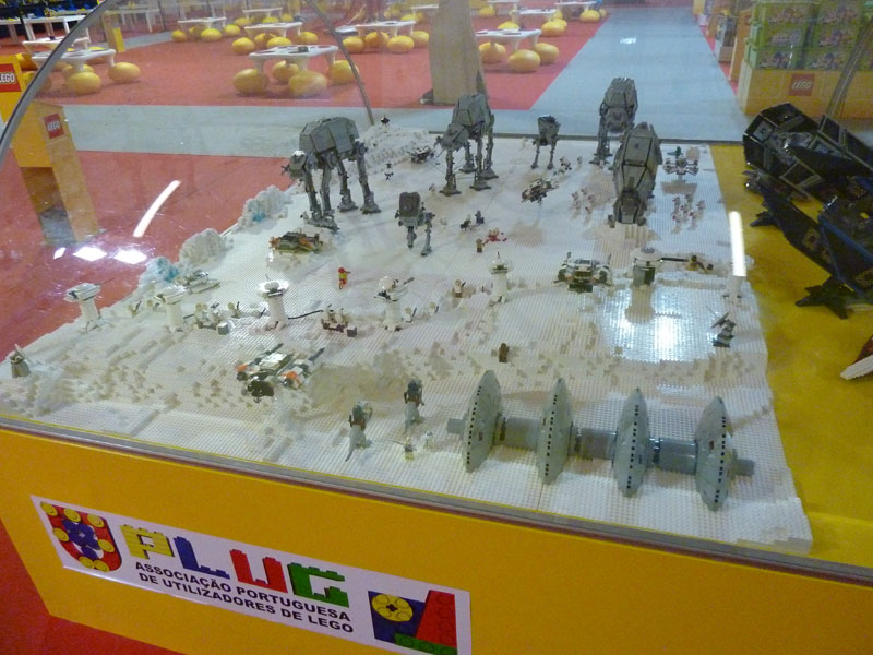 eci2010_42.jpg