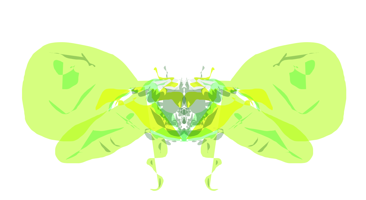 butterflyl1.png