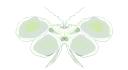 butterflyj1.png