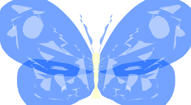 butterflyh5.png