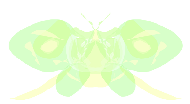 butterflyi3.png