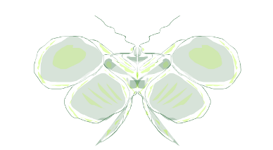 butterflyj3.png