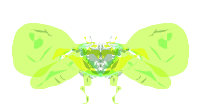 butterflyl3.png